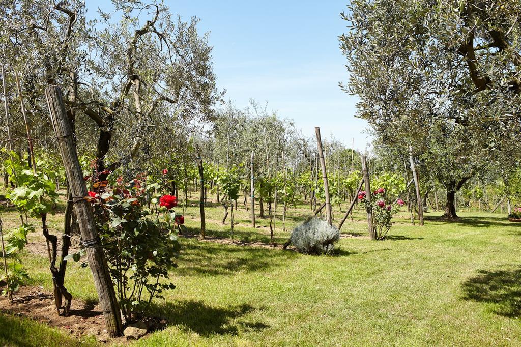 Podere La Casuccia Malmantile ห้อง รูปภาพ