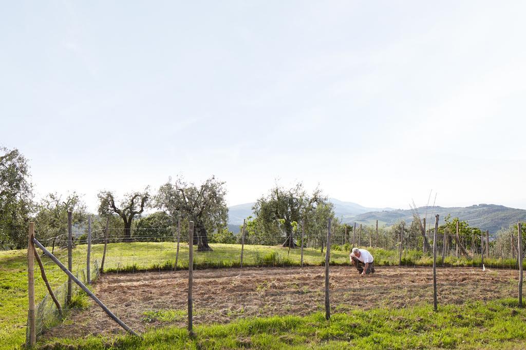 Podere La Casuccia Malmantile ห้อง รูปภาพ